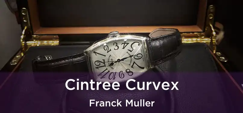  Cintree Curvex Franck Muller